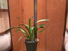 -南堂小馆·川菜馆(德商国际店)