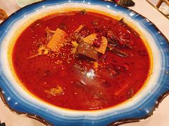 毛血旺-蜀腾川·火锅鱼.烤鱼(新世界城店)