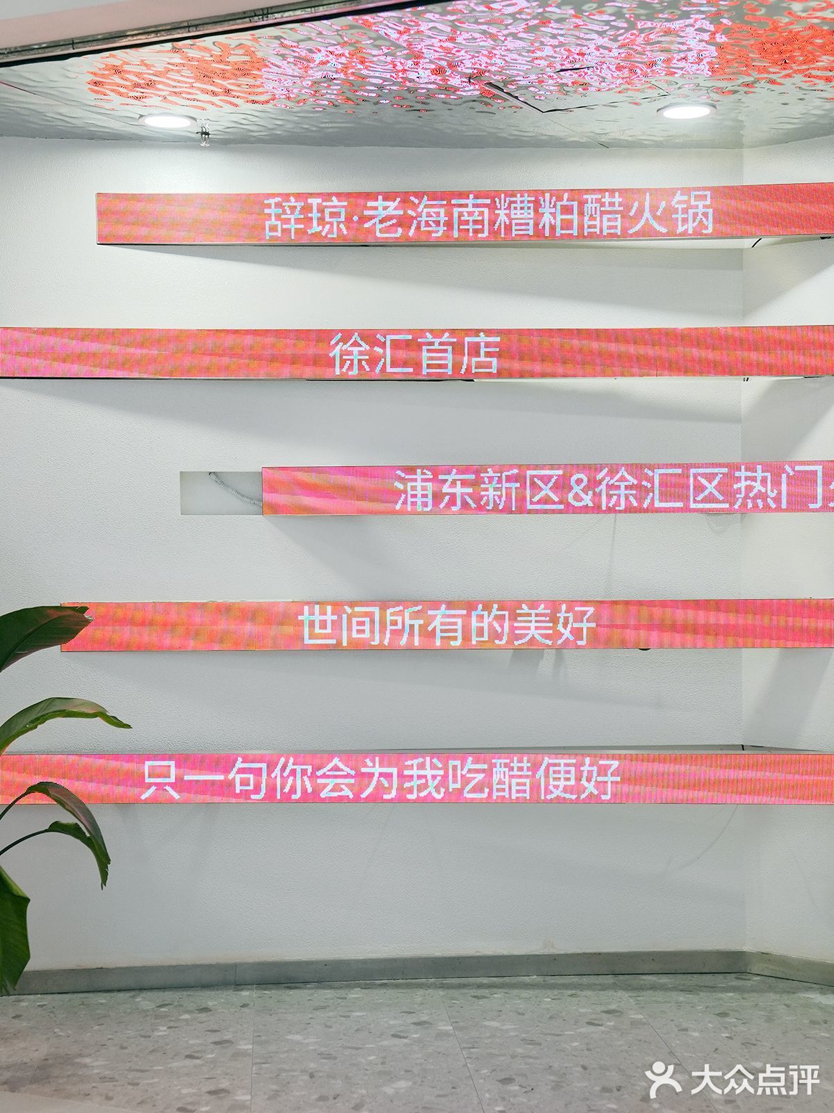 正宗海南味🥥｜糟粕醋火锅上海徐汇也有了
