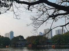 -荔湾湖公园