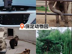 -保定市动物园