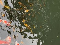 -新荣记(西溪湿地店)