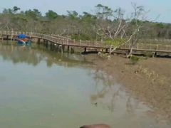 -东寨港红树林旅游区