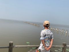 -哈素海