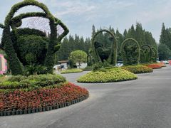 -东平国家森林公园