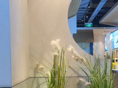 -蜜桃餐厅·伴山(绿宝广场店)