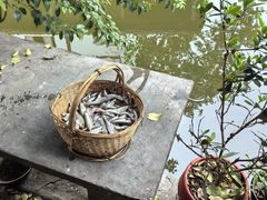 -丝绸小镇荻港古村