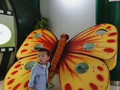 -上海昆虫博物馆