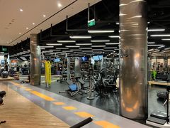 -威尔仕健身(金茂店)