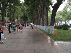 -人民防洪胜利纪念塔