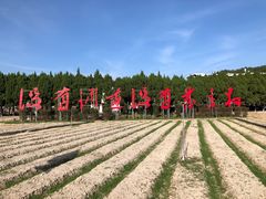 -毛泽东才溪乡调查旧址景区