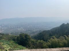 -缙云山景区