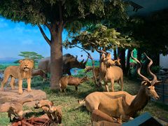 -国家自然博物馆