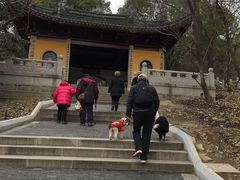 -灵岩山风景区