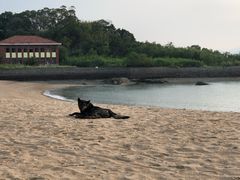 -鼓浪屿内厝澳码头(轮渡站)