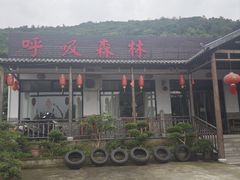 -呼吸森林·生态农庄农家乐私房菜