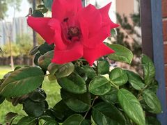 -辣动时代自助小火锅(大庆路店)