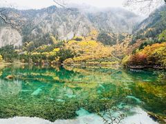 -如意林卡藏餐吧 (九寨沟店)