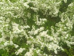 -北京植物园南门售票处