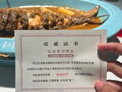 -阿五黄河大鲤鱼(纬三路店)