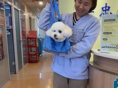 -瑞派·关忠动物医院(国瑞店)
