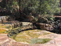 -祁门牯牛降观音堂风景区