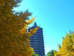 -玲珑塔公园
