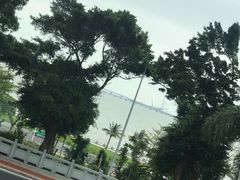 -海湾壹品·粤菜·早茶·烤鸭(拱北店)