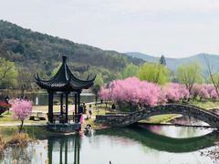 -石塘人家