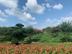 -千龙湖生态旅游度假区