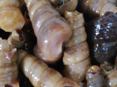 -宾朋海鲜特色美食餐厅·纯手工鲅鱼水饺(兴海路店)