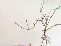 -阿狗圆子
