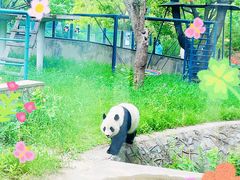 -天津市动物园
