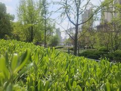 -苏州河梦清园环保主题公园