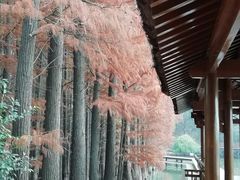 -采石矶景区