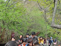 景点-武当山风景区