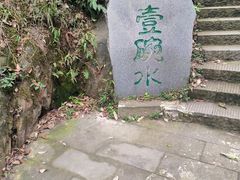 -南山植物园
