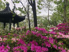 -上海植物园-4号门售票处