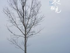 -怀来官厅水库
