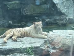 -北京野生动物园