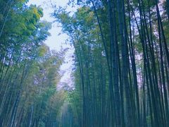 -竹福苑·特色全竹宴·火塘宴