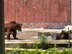 -南京金牛湖风景区