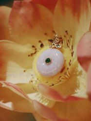 -北京七彩云南翡翠珠宝旗舰店(月坛店)