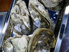 -蚝得喜海鲜(东城店)