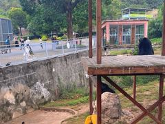 -无锡动物园·太湖欢乐园