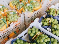 -西郊国际农产品交易中心