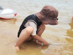 -碧海金沙