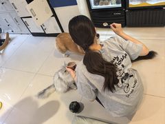 -平行世界·猫咖(首经贸店)