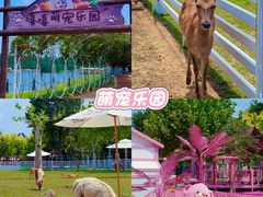 -渔岛海洋度假区