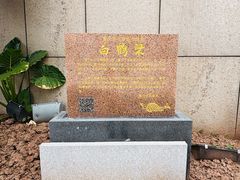 -白鹤梁水下博物馆